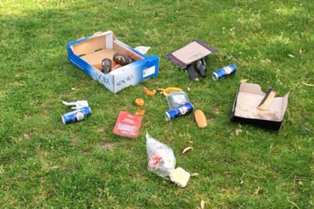 Litter left on Southsea Common