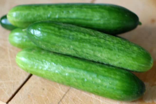 Mini cucumbers.