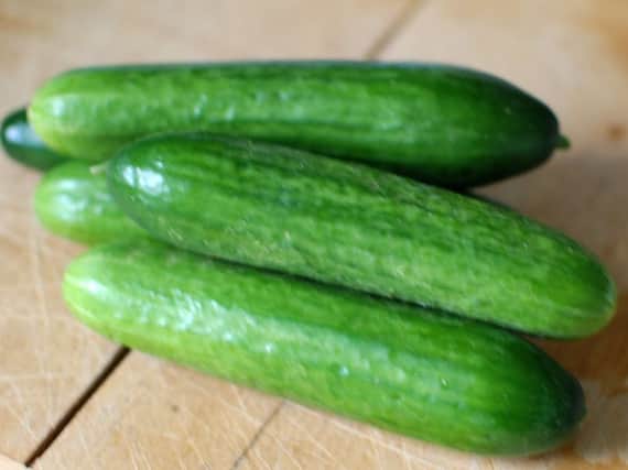 Mini cucumbers.