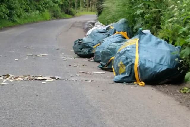The fly-tipping in Pook Lane, Fareham