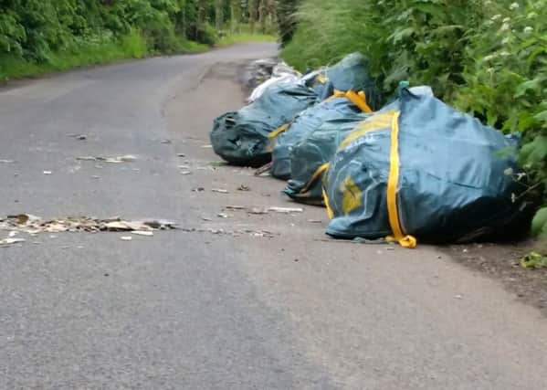 The fly-tipping in Pook Lane, Fareham