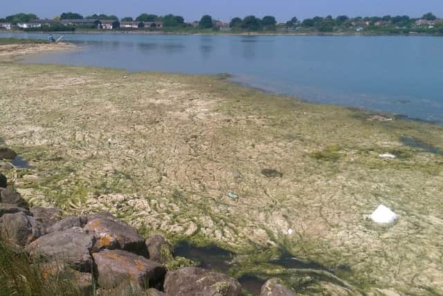 Scum foam at Langstone Harbour, Eastney Picture: Jeff Travis