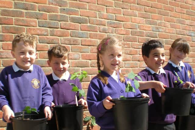 Berewood Primary Schoolcaption: Left to right: Daniel, Max, Dominika, Zac and Nicola at Berewood Primary School