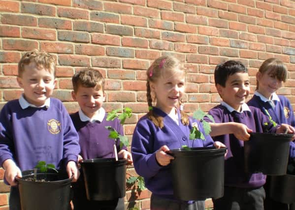Berewood Primary School
caption: Left to right: Daniel, Max, Dominika, Zac and Nicola at Berewood Primary School