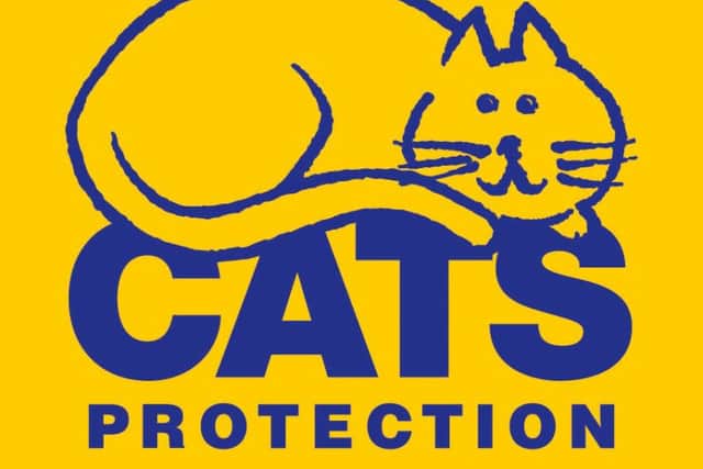 There's a garden fete event in aid of Cats Protection tomorrow and on Sunday