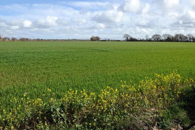 The site of Hallam Land's planning application