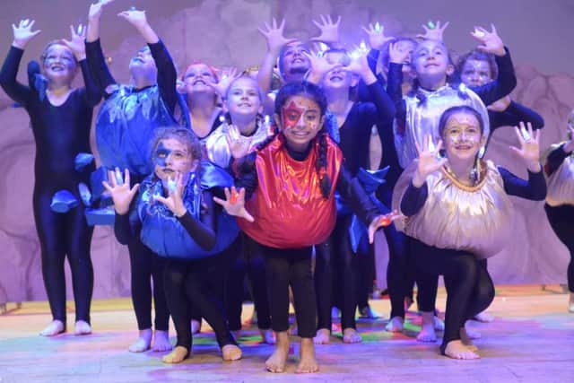 Solent Junior School Picture: Nick Scott Photography