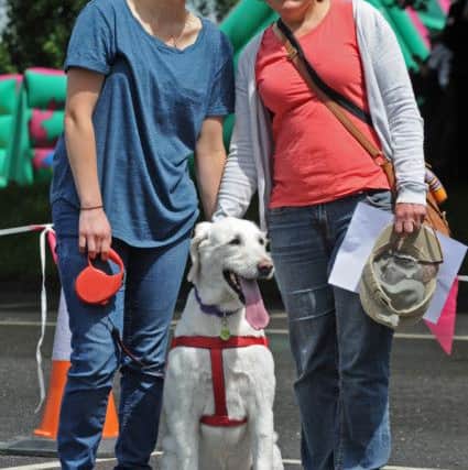 Emily Dobbins-Dale, left, her mum Karen Dobbins from Fareham, and their dog Maisie.
Picture: Ian Hargreaves (160846-2)