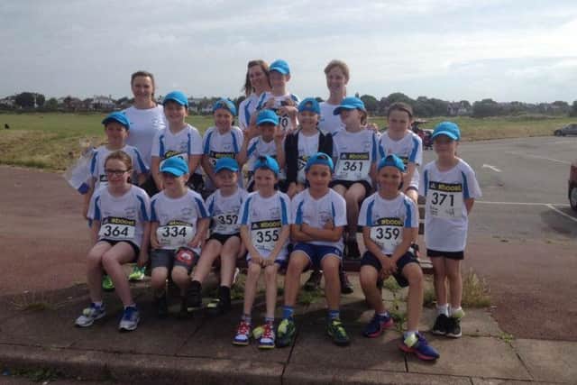 Holbrook Striders