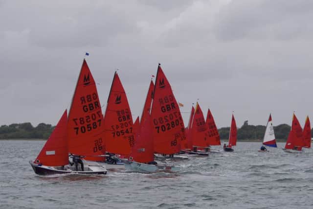 Itchenor Sailing Club's Junior Fortnight is a popular event