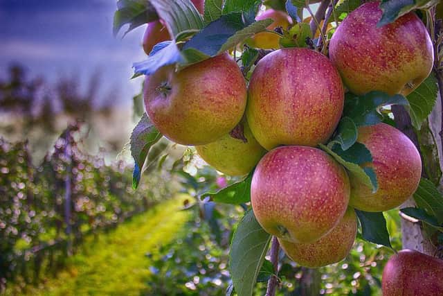 There's a number of open garden events happening on Sunday