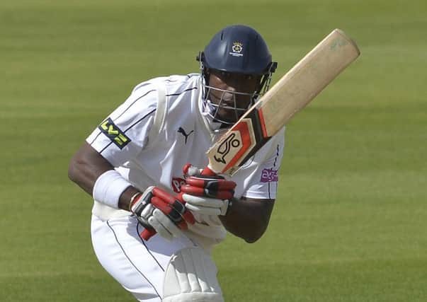Hampshire batsman Michael Carberry     Picture: Neil Marshall