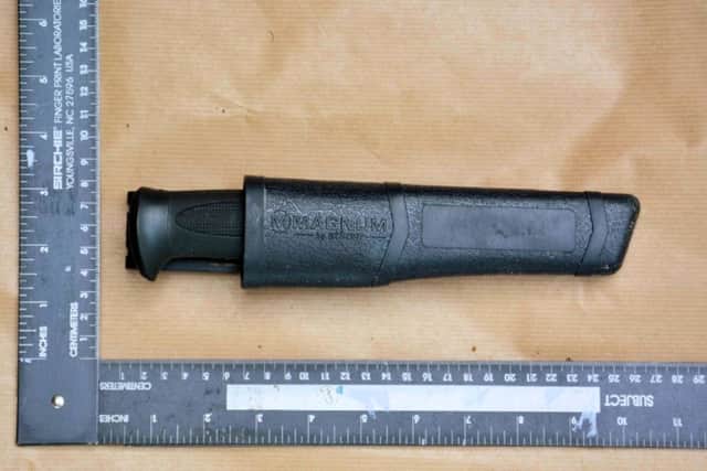 The knife that Matthew Daley used to stab Don Lock. Picture: Sussex Police SUS-160516-180124001