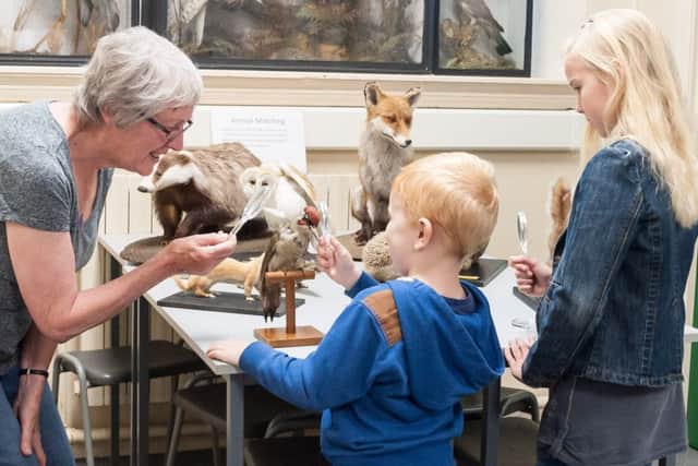 Dot Bedenham, one of the gallerys volunteers, helps Luka, three and Tabitha England, eight, examine a stuffed Kingfisher. 
Picture: Keith Woodland (160991-018)