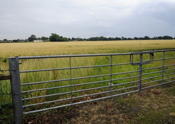 Farmland adjoining Southleigh Farm near  Emsworth that is earmarked for development