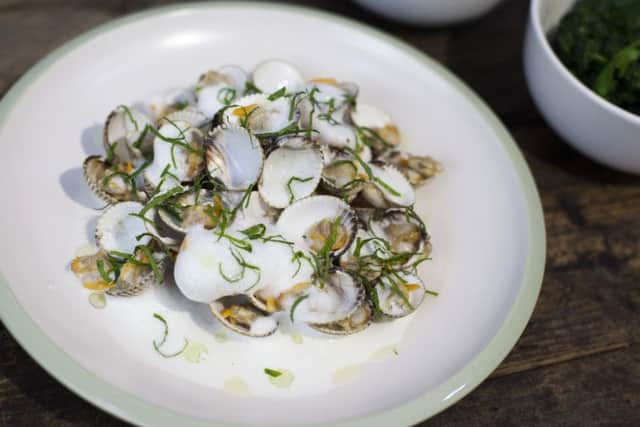 Cockles in Prinsted area near Emsworth may not be safe to eat