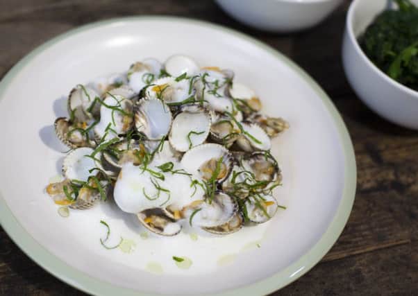 Cockles in Prinsted area near Emsworth may not be safe to eat