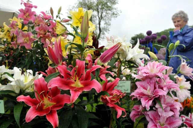 Dont miss the open garden at 28
St Ronans Avenue, Southsea