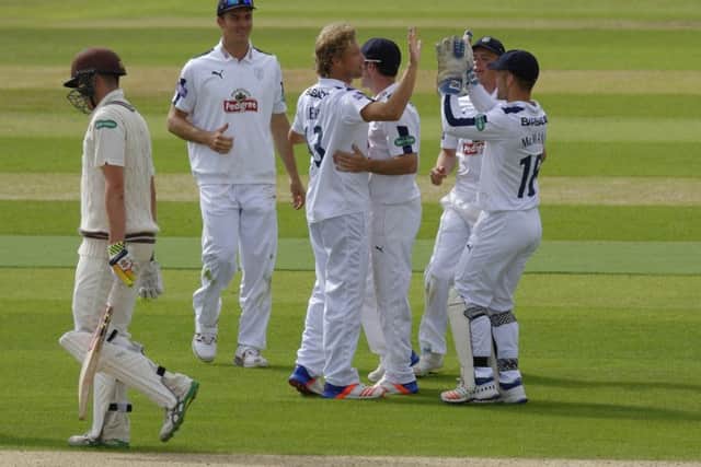 Gareth Berg celebrates a wicket. Picture: Neil Marshall