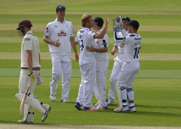 Gareth Berg celebrates a wicket. Picture: Neil Marshall