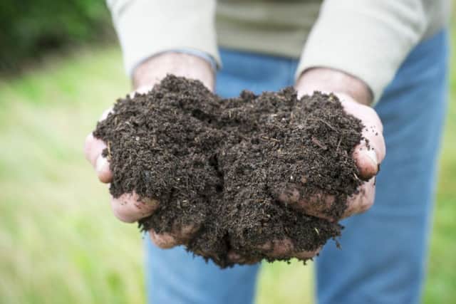 Brian's tips for composting