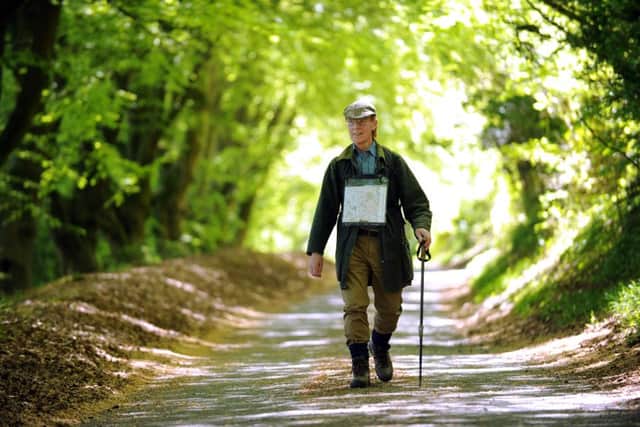 Rambling man - Peter Youngs in the Hampshire countryside. Picture: Allan Hutchings