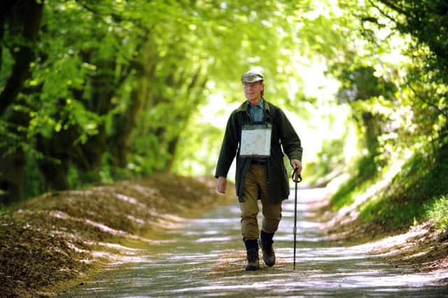 Rambling man - Peter Youngs in the Hampshire countryside. Picture: Allan Hutchings