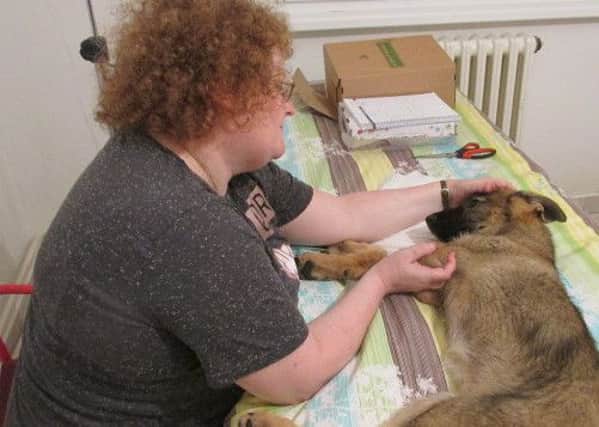 Julie Betterton-Trew helps Ava the dog in Bosnia