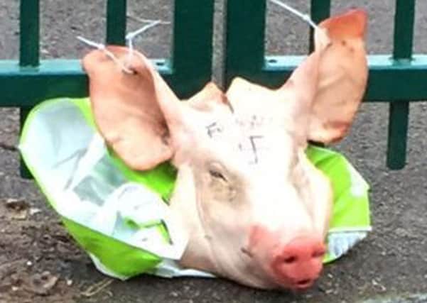 A pig's head left tied to the Madani school gate in Portsmouth, with an  obscene message PPP-160121-161544001