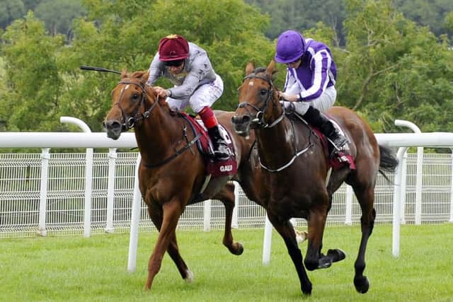 Galileo Gold and The Gurkha go for glory in the Sussex Stakes / Picture by Malcolm Wells