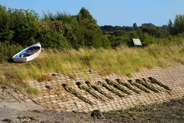 Seaweed sunbathers in Emsworth Picture: John Tweddell