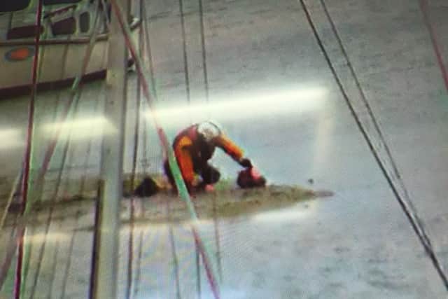 CCTV capture of Josh approaching stranded dog. Picture: RNLI