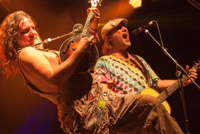 Hayseed Dixie