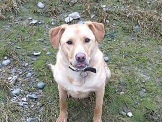 Bodie's condition has deteriorated and more surgery has been needed