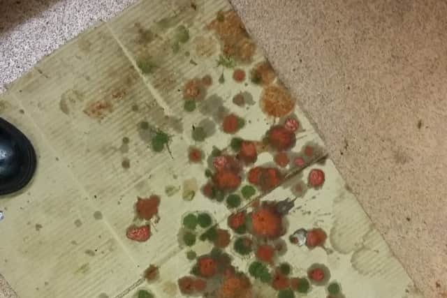 A stained piece of cardboard from the kitchen