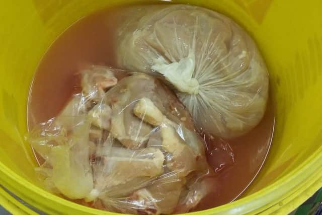 Raw chicken defrosting in an open bucket