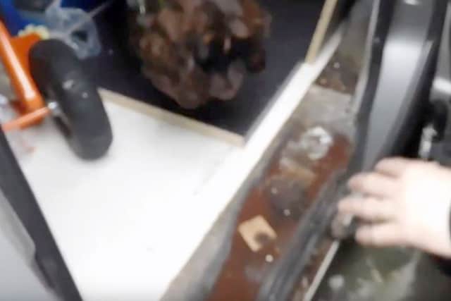 Coffee grounds that were sprinkled to try to put sniffer dogs off the scent
