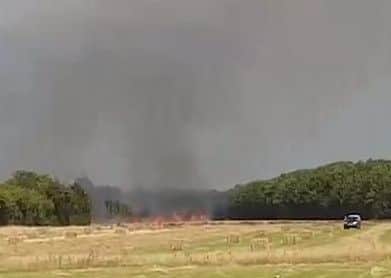 A field fire between Emsworth and Havant this afternoon Picture: Corey Honess