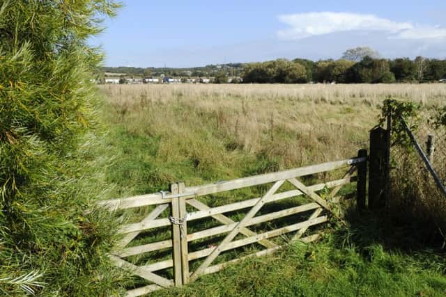 A field that sits between Cranleigh Road and Quintrell Avenue in Portchester and being considered for a large housing development