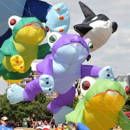 161077-06 kites
Kite Festival, Southsea Common.
Pic Mick Young
14/08/2016 PPP-160814-172442006