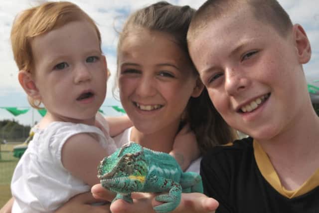 Edith Horn, two,, Casey Smith, 12 and Jake Barker, 12 meet a chameleon Pictures: Mick Young (161075-03)