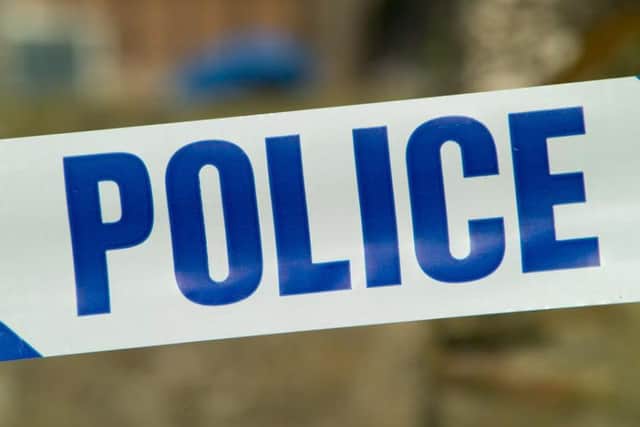 Police are hunting for a man who flashed two young girls