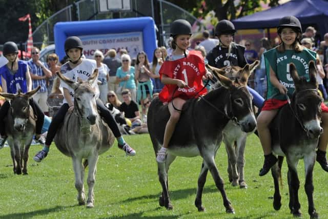 The Donkey Derby