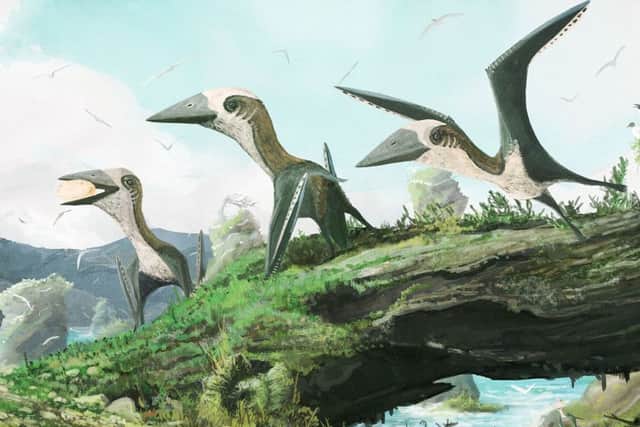 Artist impression issued by University of Southampton of how the newly identified small-bodied azhdarchoid pterosaur from British Columbia would have looked like.