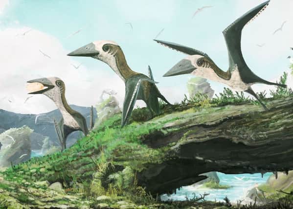 Artist impression issued by University of Southampton of how the newly identified small-bodied azhdarchoid pterosaur from British Columbia would have looked like.