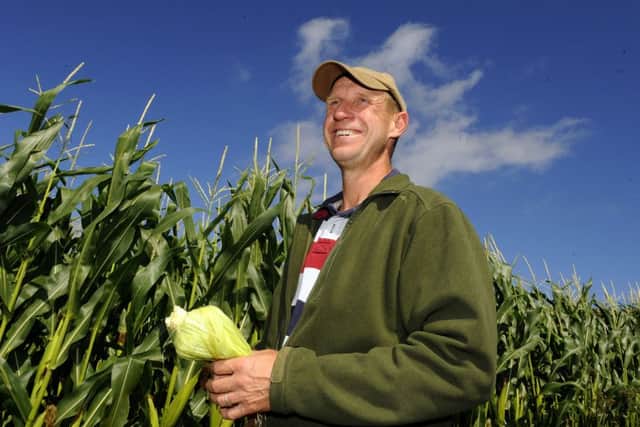 Jamie Butler checks his crops Picture: Malcolm Wells (160822-3181)
