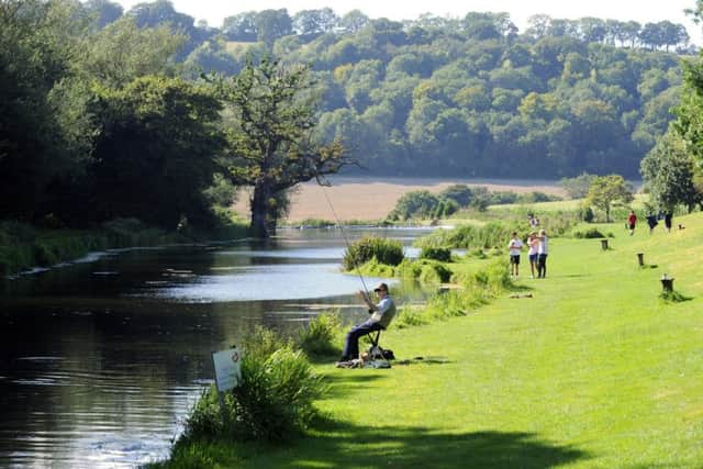 The tranquil River Meon Picture: Malcolm Wells (160822-6952)