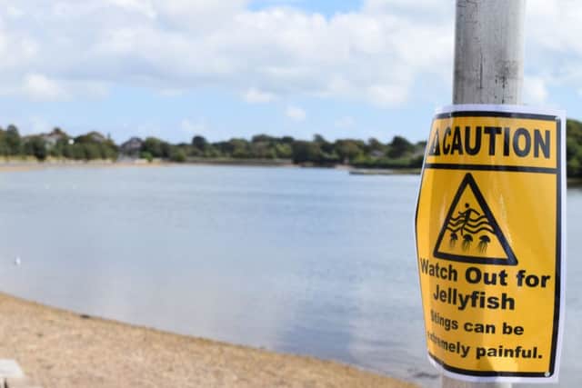 Jellyfish signs by Stoke Lake