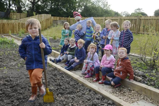 From little acorns mighty gardeners grow.
