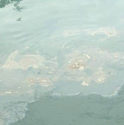 A fuel spill in Tipner Lake Picture:  Steve Carter